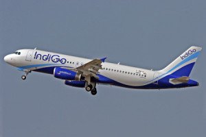 indigo-airlines102